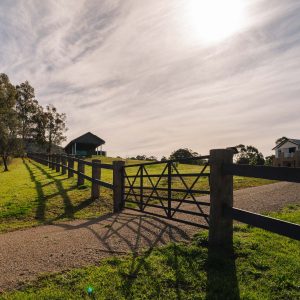 The Classic Single Gate - Image 7